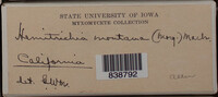 Image Associated With the Occurence